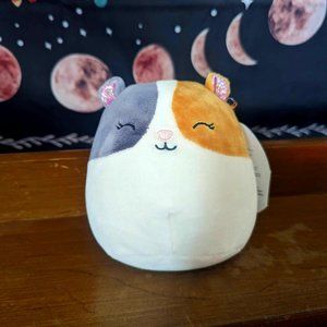 Squishmallows Pax the Hamster NWT